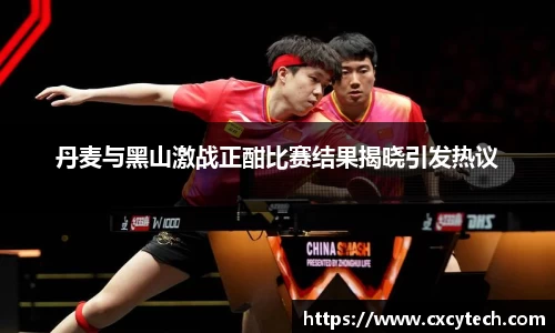 丹麦与黑山激战正酣比赛结果揭晓引发热议